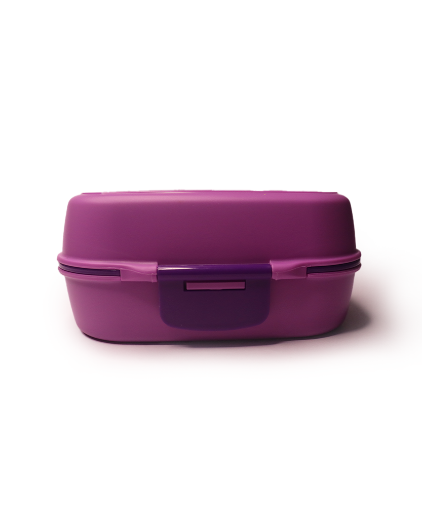 Lunch/Tiffin Box, Plastic For School Office With Spoon & Side Container, For Adults & Kids